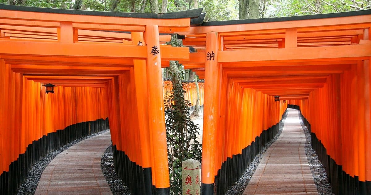 Kioto: Fushimi Inari, Kinkaku-ji y bosque de bambú. Tour de 1 día en autobús