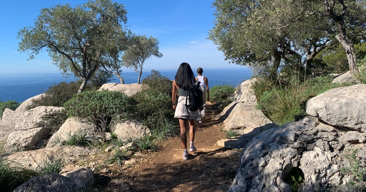 Desde Palma: excursión a Valldemossa y ruta de senderismo con vistas a la montaña.