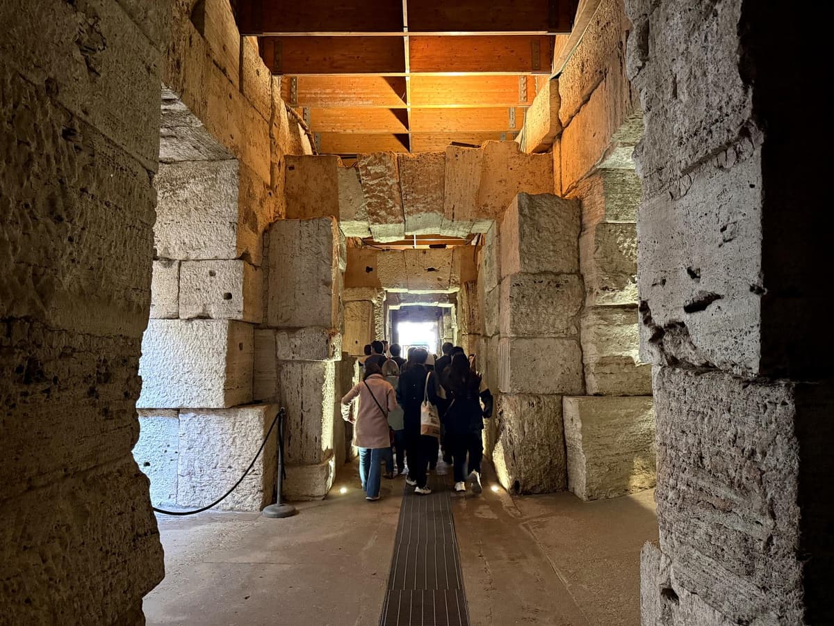 Roma: tour de la zona subterránea del Coliseo, el Foro y el monte Palatino