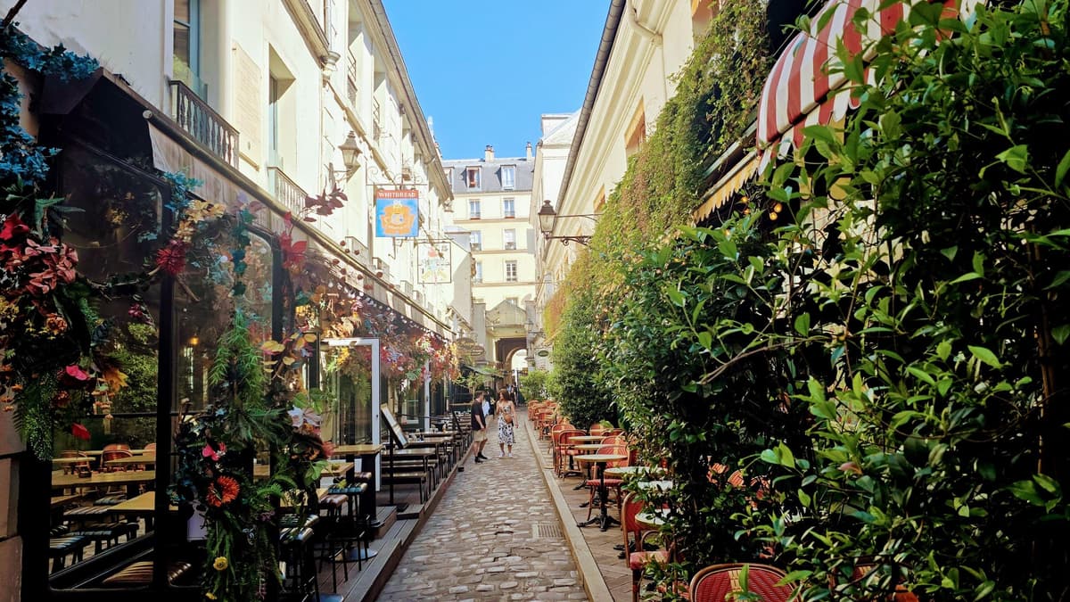 París: tour a pie guiado por Saint-Germain y Saint-Michel