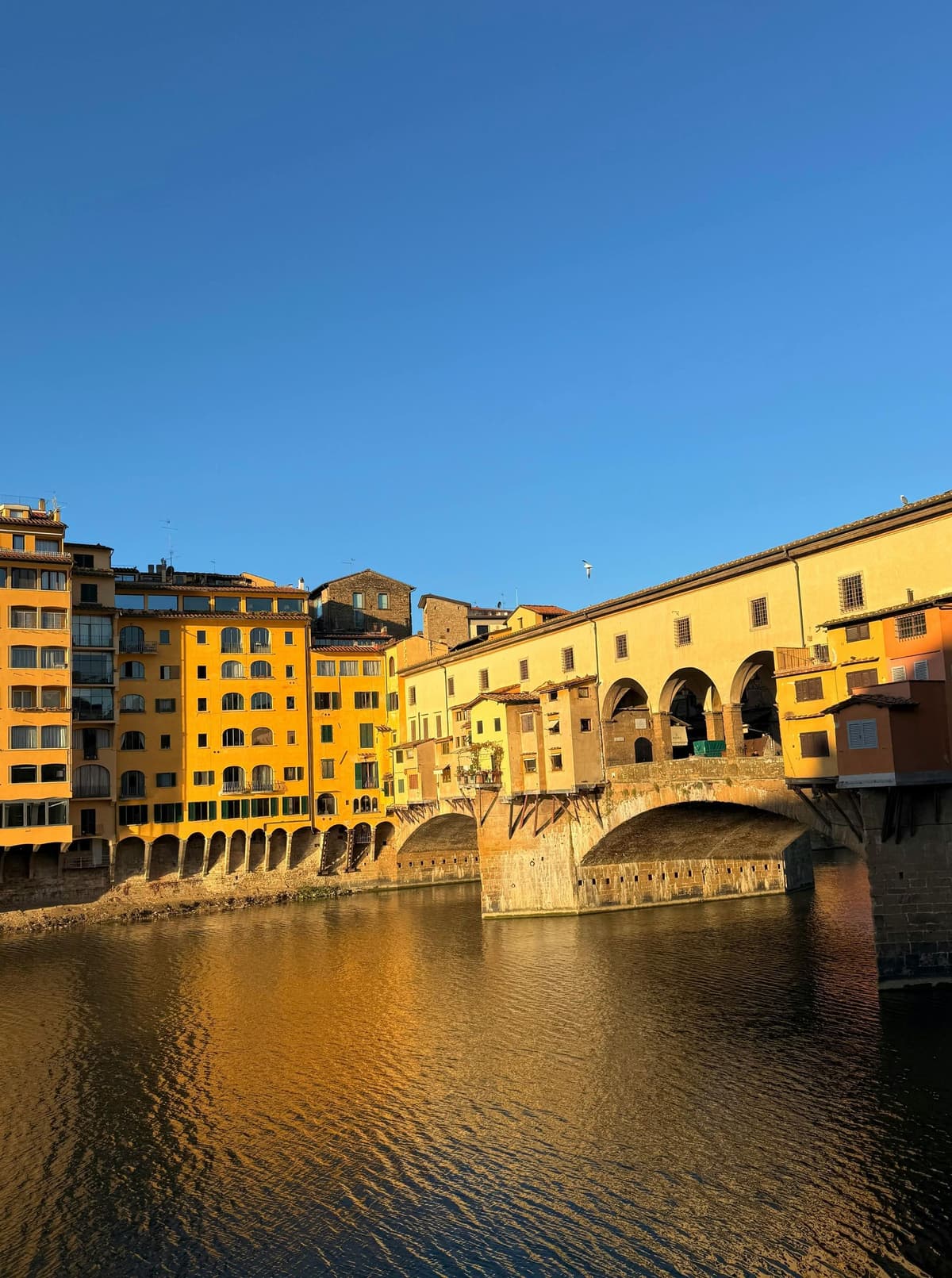 Florence: Medici Walking Tour – Architecture and Renaissance Power