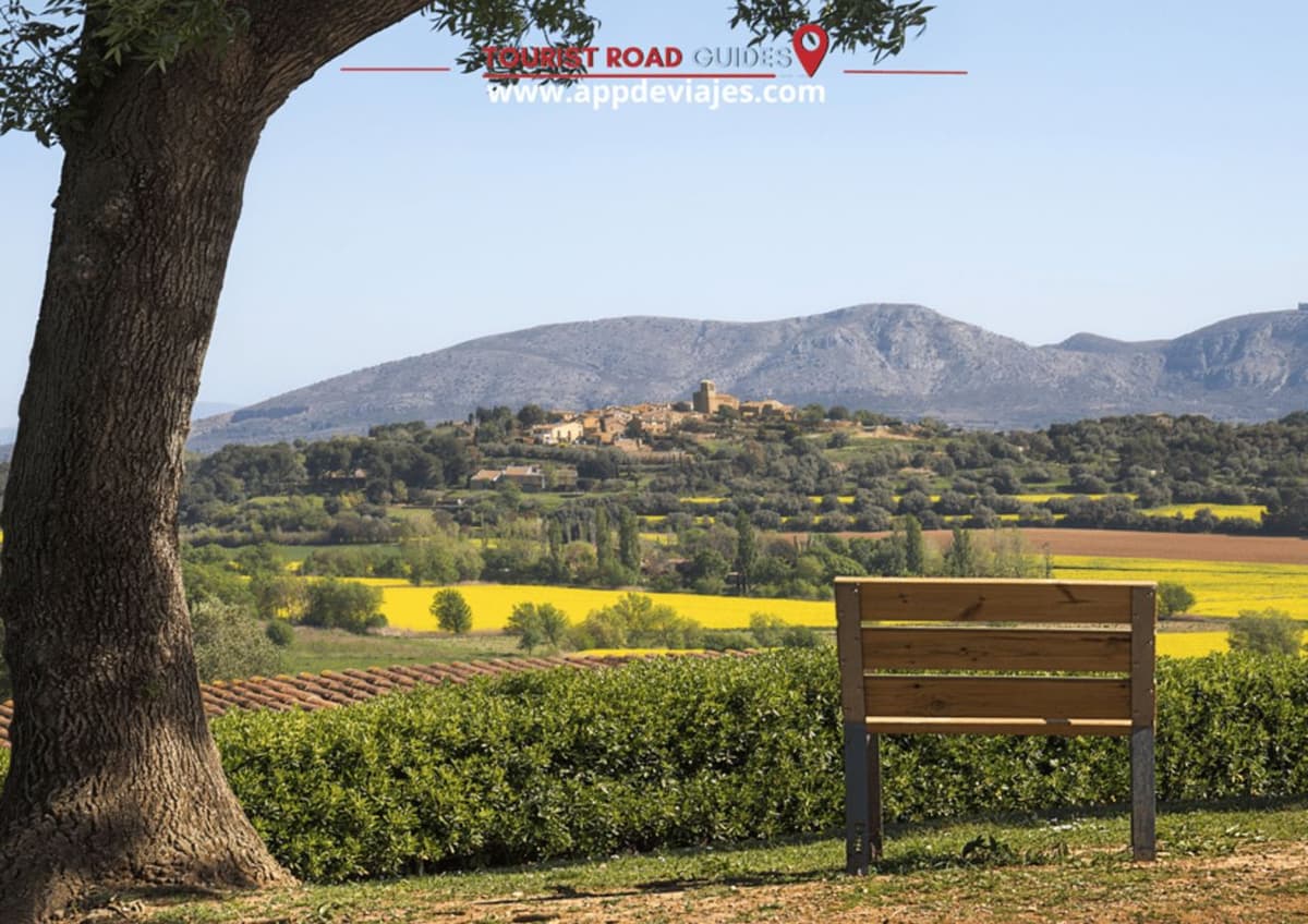 Barcelona: Tour Privado Besalú, Dalí y Cata de Vinos
