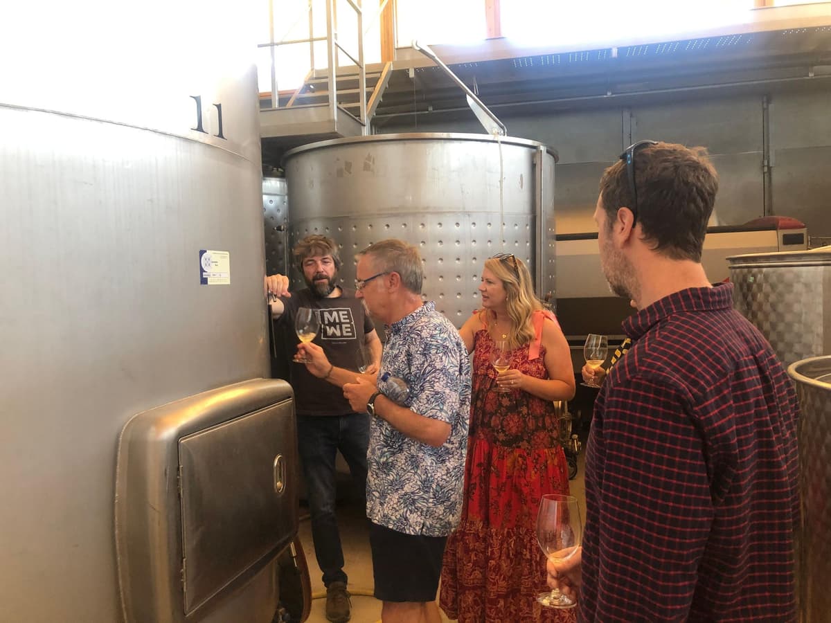Madrid Wine Tour: Discover Unique Local Wineries & Tastings