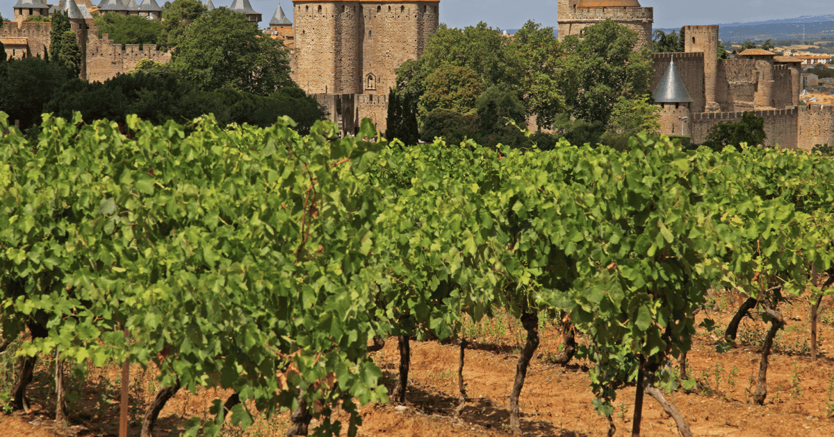 Barcelona: Carcassonne & Girona Tour