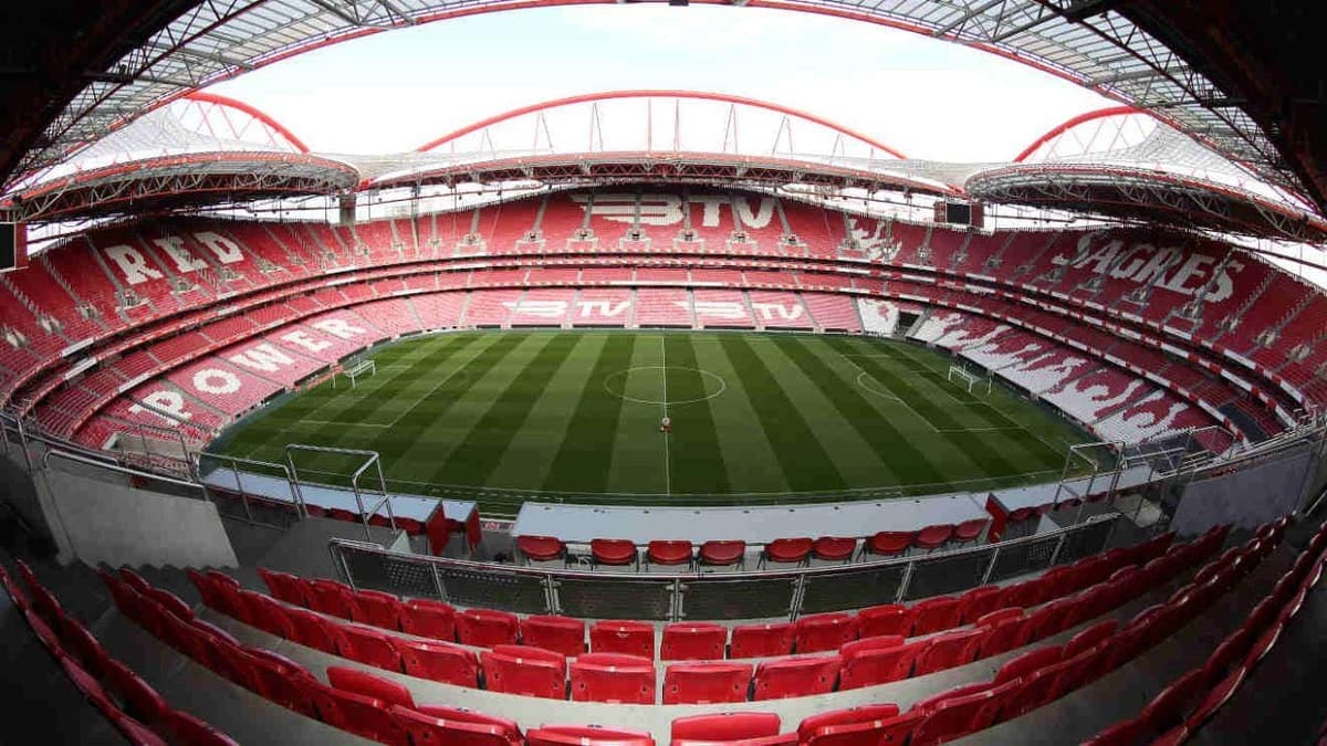 Lisbon: Visit Luz Stadium, the Museum, and go on a cruise tour