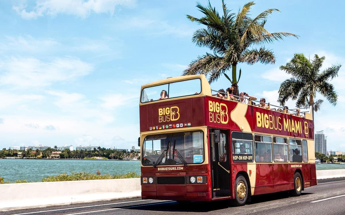 Miami: tour en autobús turístico con crucero opcional