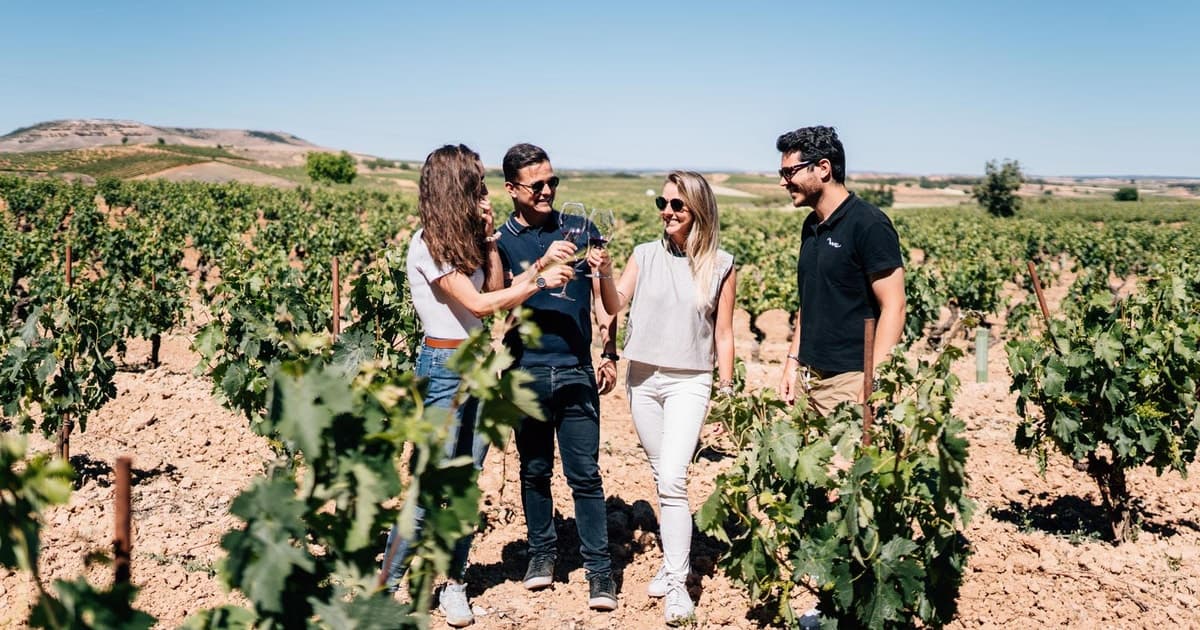 Desde Madrid: tour privado por bodegas de Ribera del Duero y Segovia