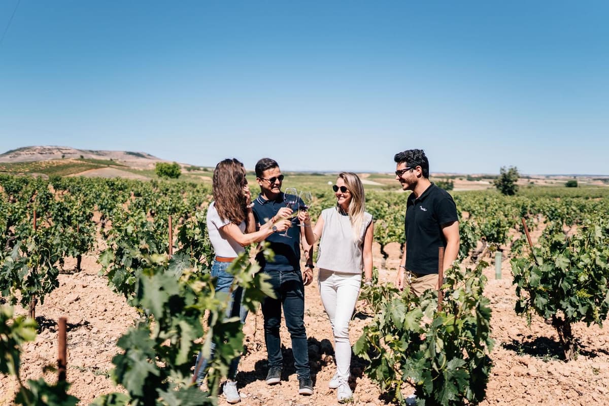 Desde Madrid: tour privado por bodegas de Ribera del Duero y Segovia