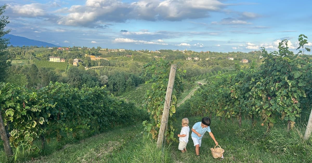 Prosecco: Wine & Food Feast in Family Osteria
