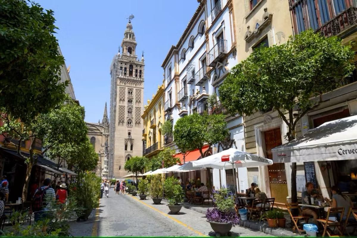 Guided Seville Sightseeing & Food Tour with Rooftop Bar