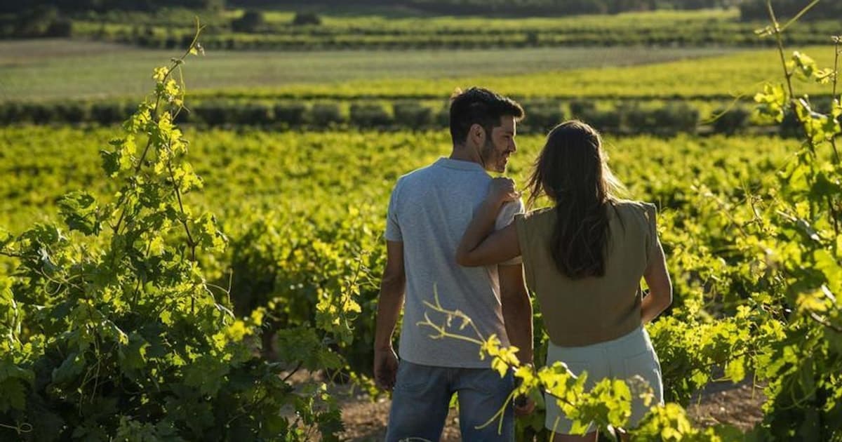 Valencia: tour por viñedos, vino local, cava y aperitivos