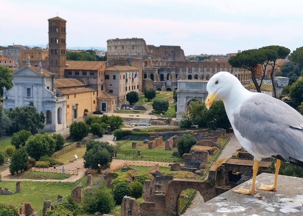 Roma: tour privado por el Foro Romano y el monte Palatino