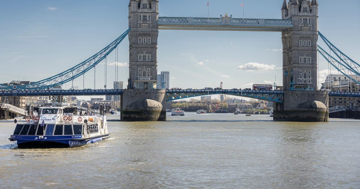 London: One-Day Unlimited City Cruises River Pass