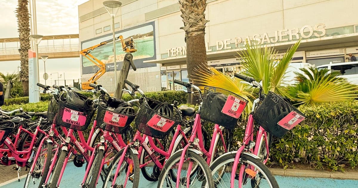Valencia: tour en bicicleta y tapas para cruceristas