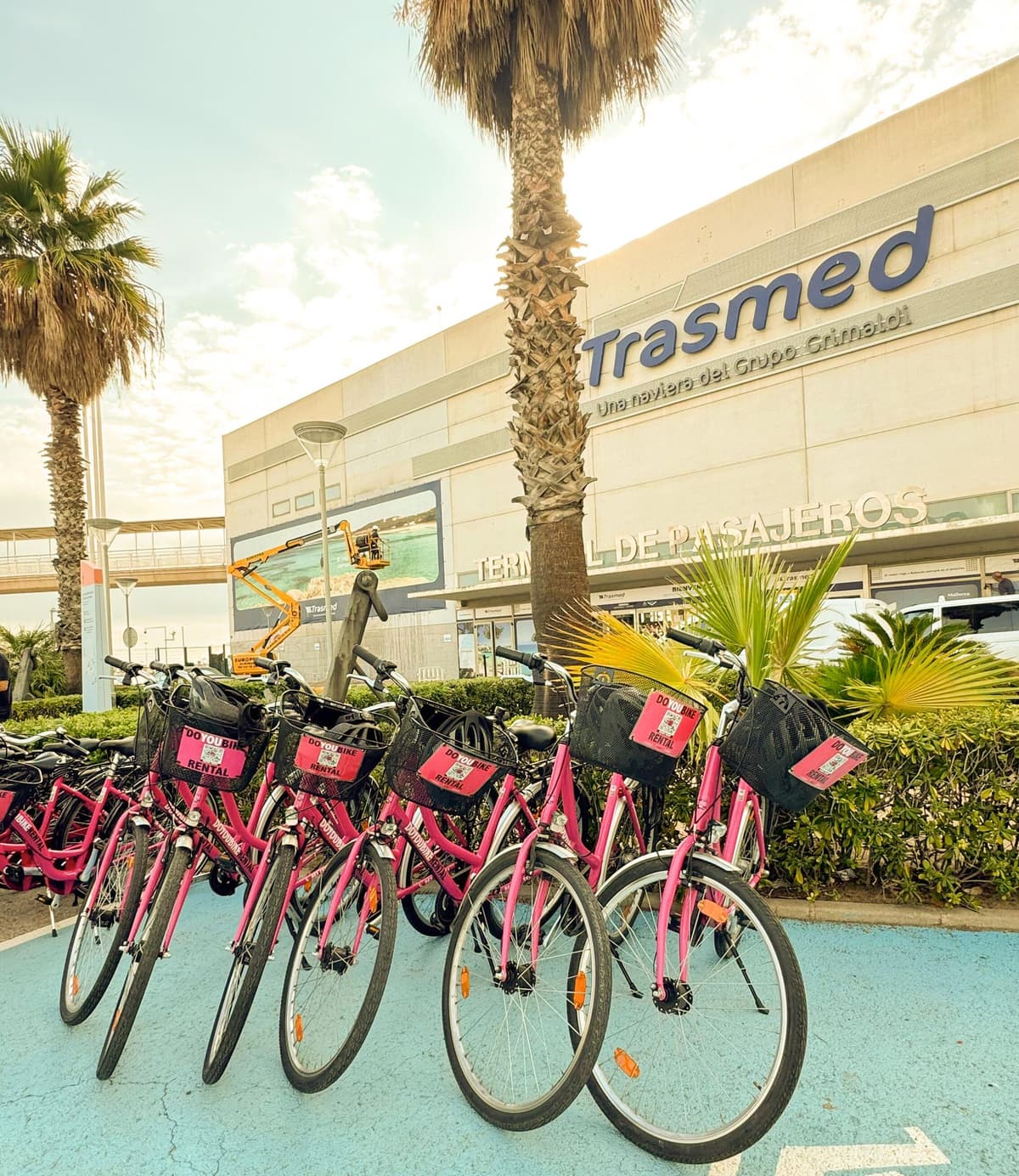 Valencia: tour en bicicleta y tapas para cruceristas