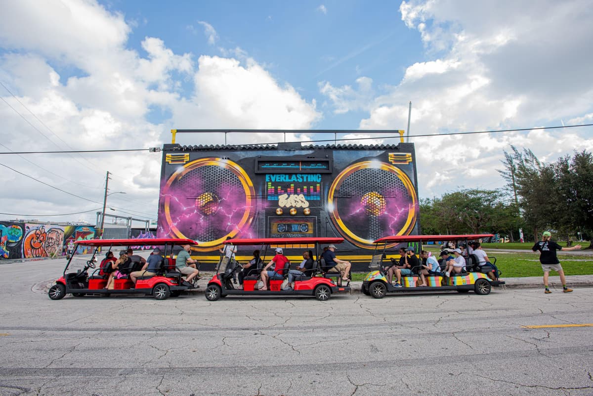 Wynwood Art District 1-Hour Wynwood Buggies Street Art Tour