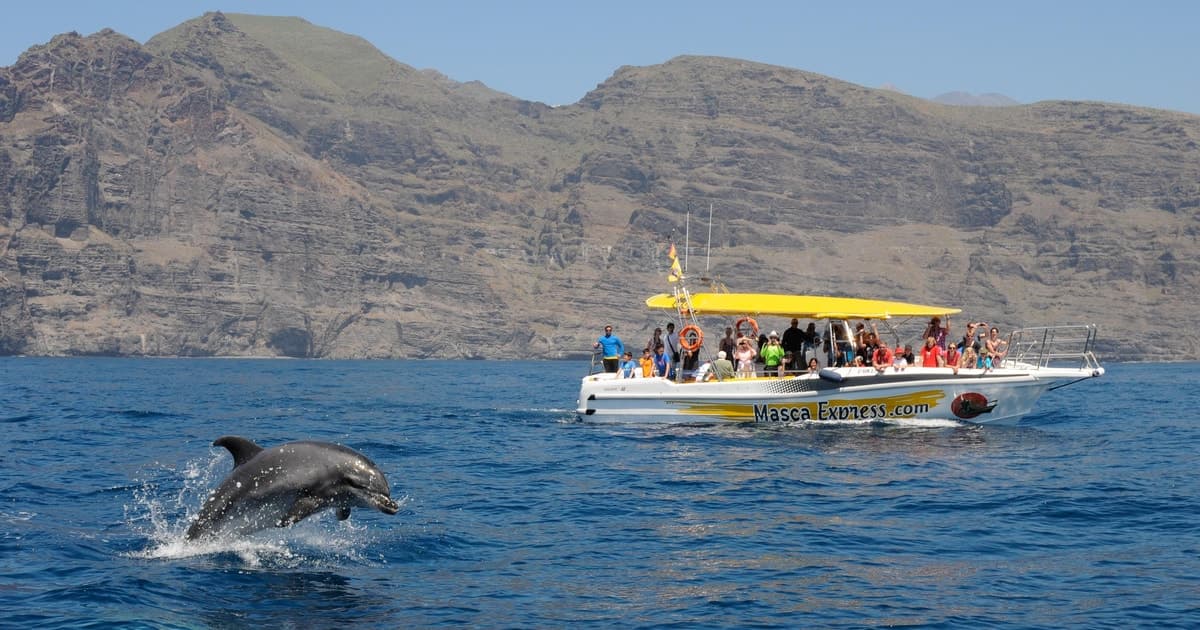 Los Gigantes: Tour de avistamiento de ballenas y delfines con parada para nadar