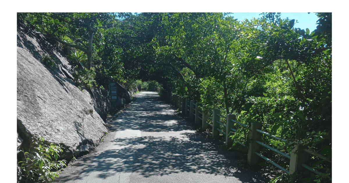 Ruta de senderismo guiada por el Pan de Azúcar
