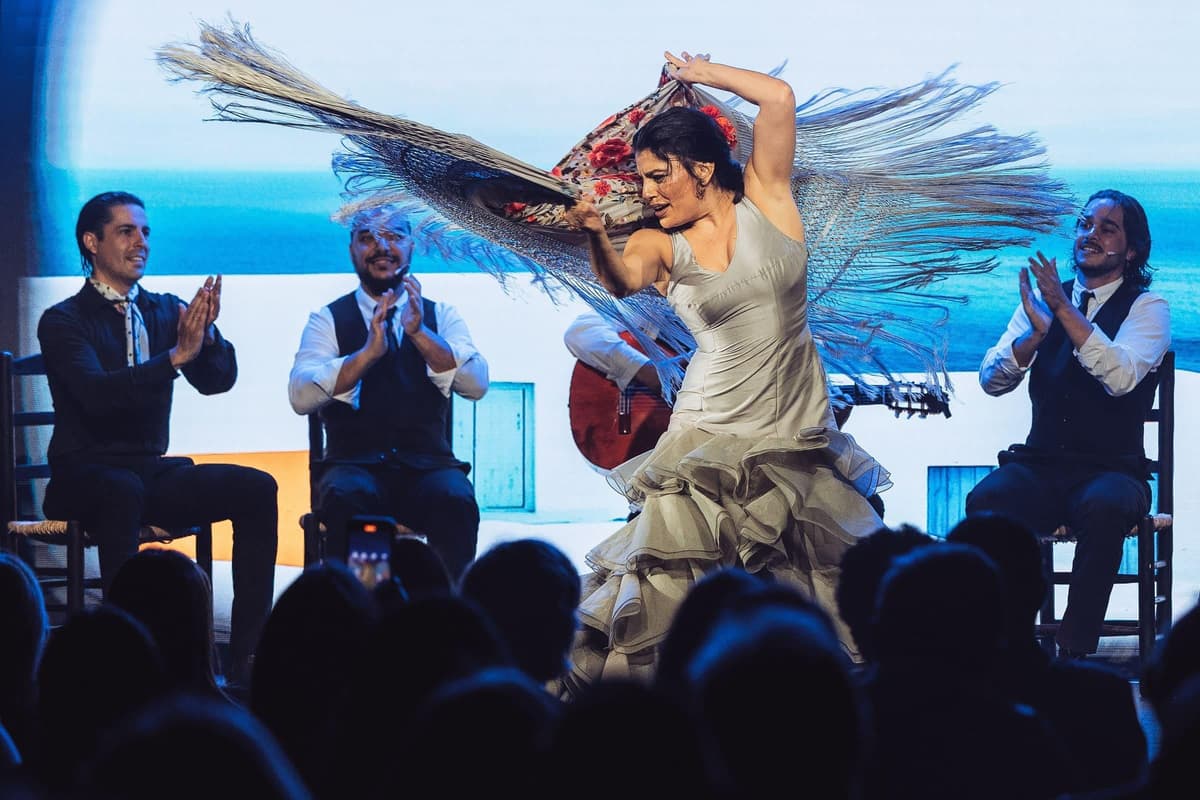Teatro Flamenco Barcelona: Authentic Live Flamenco Show