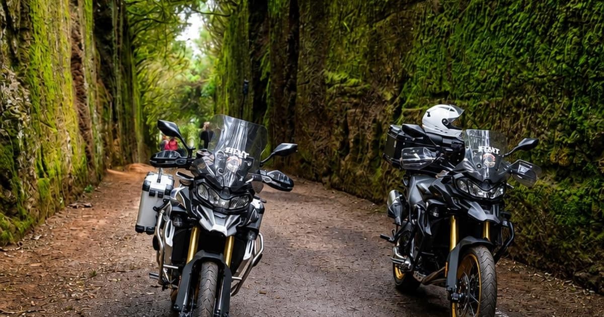 Motorcycle Tour Through Anaga & the Enchanted Forest