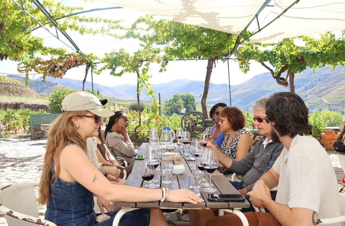 Porto: DOURO VALLEY Half-day Tour