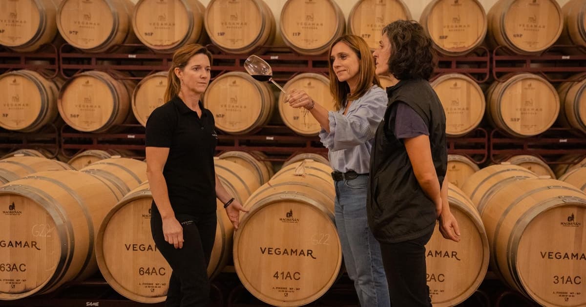 Valencia: visita a la bodega Vegamar y cata
