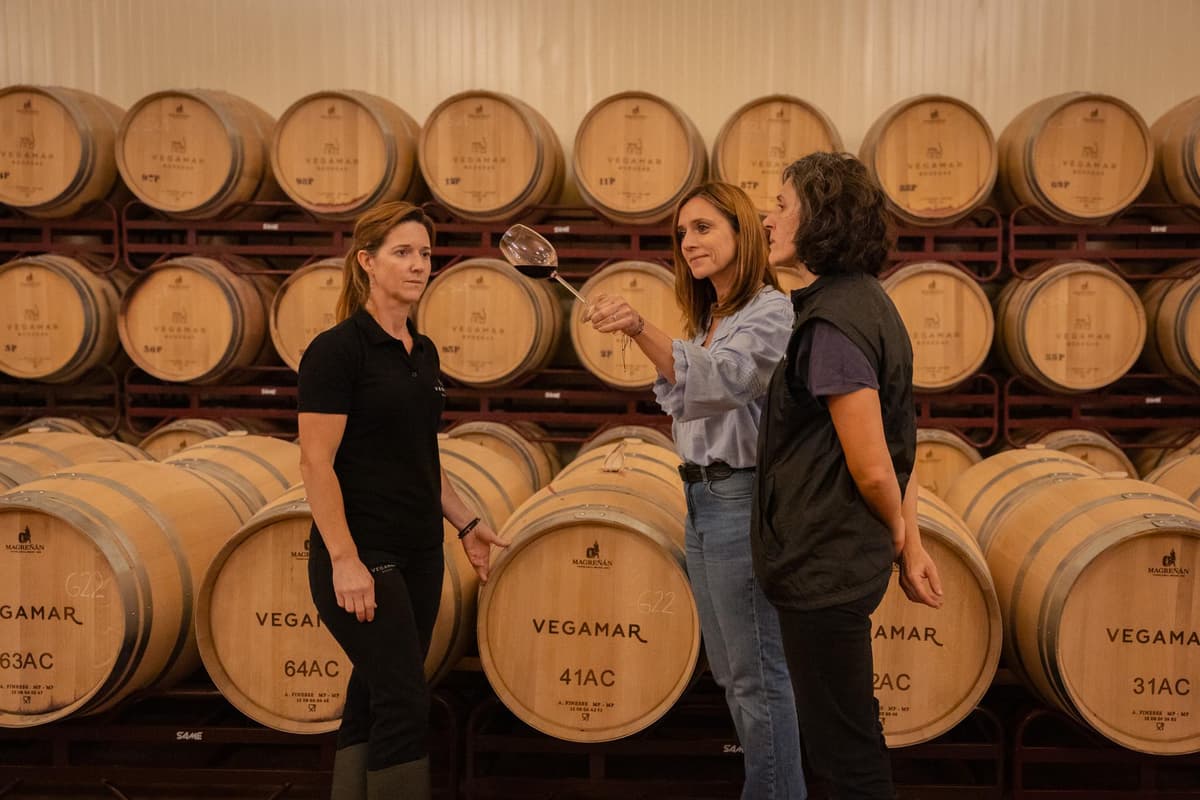 Valencia: visita a la bodega Vegamar y cata
