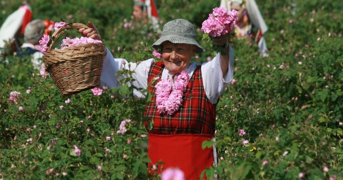 Desde Sofía: El Valle de las Rosas y Koprivshtitsa 12 horas Excursión de un día
