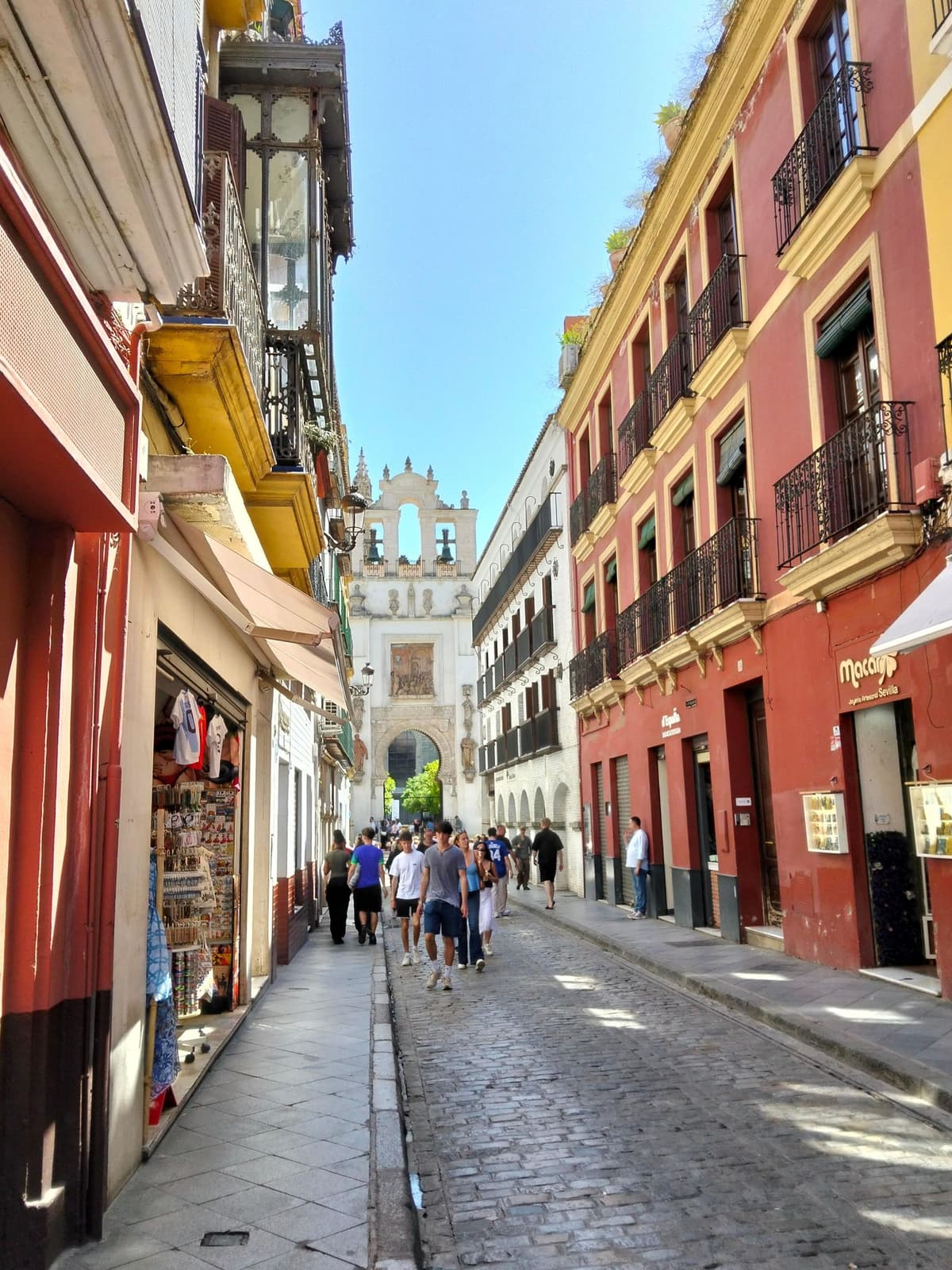 Tour de tapas por Sevilla con un chef / Platos auténticos y vinos locales