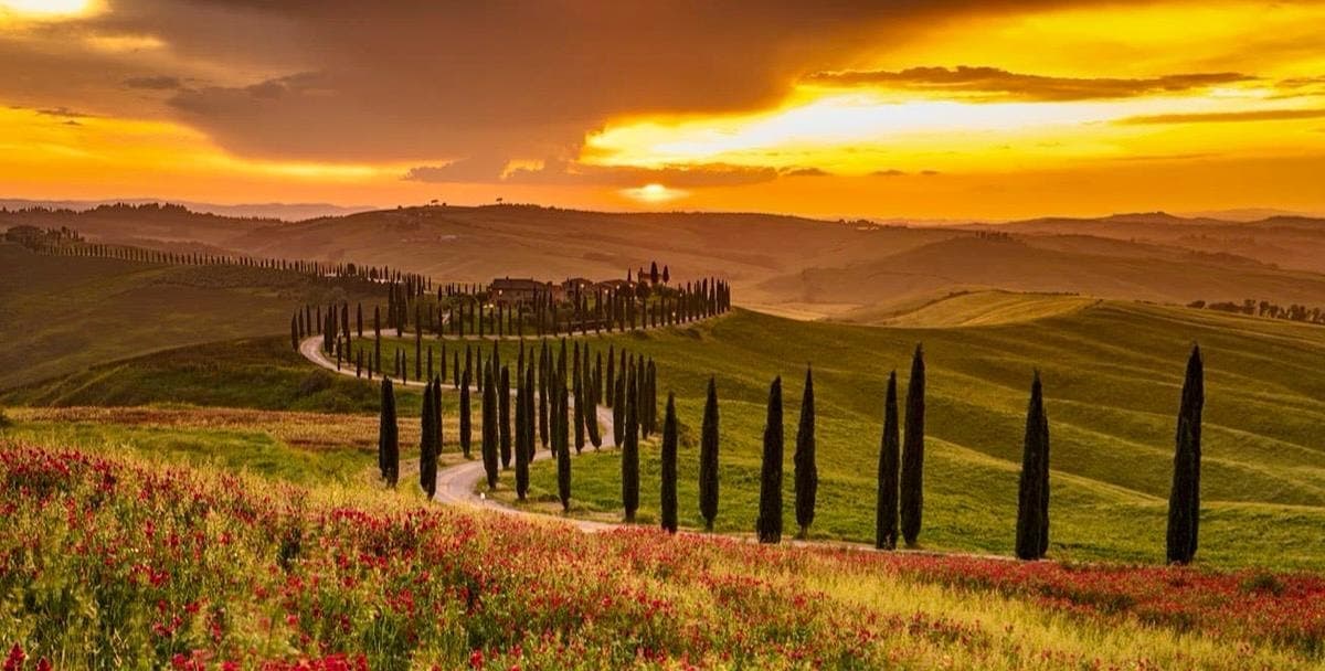 Summer Sunset Chianti Wine Tour with Dinner & San Gimignano