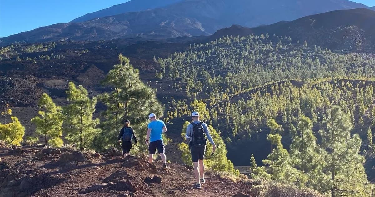Desde Santa Cruz : Visite el Parque Nacional de Teide (para cruceristas)