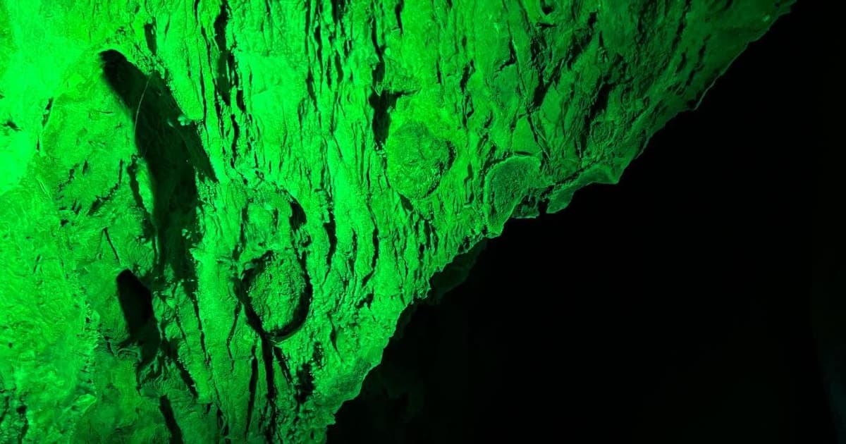Alicante: Canelobre Caves and Busot Tour