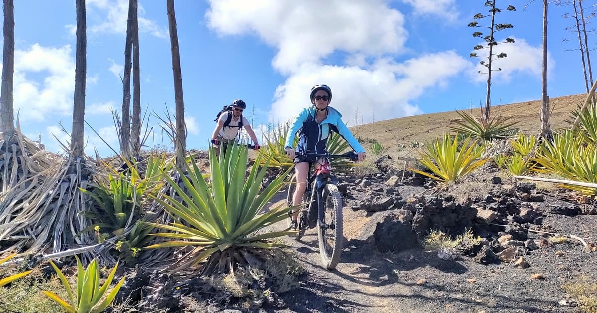 Tour en bici eléctrica por Lanzarote: cráteres volcánicos y viñedos