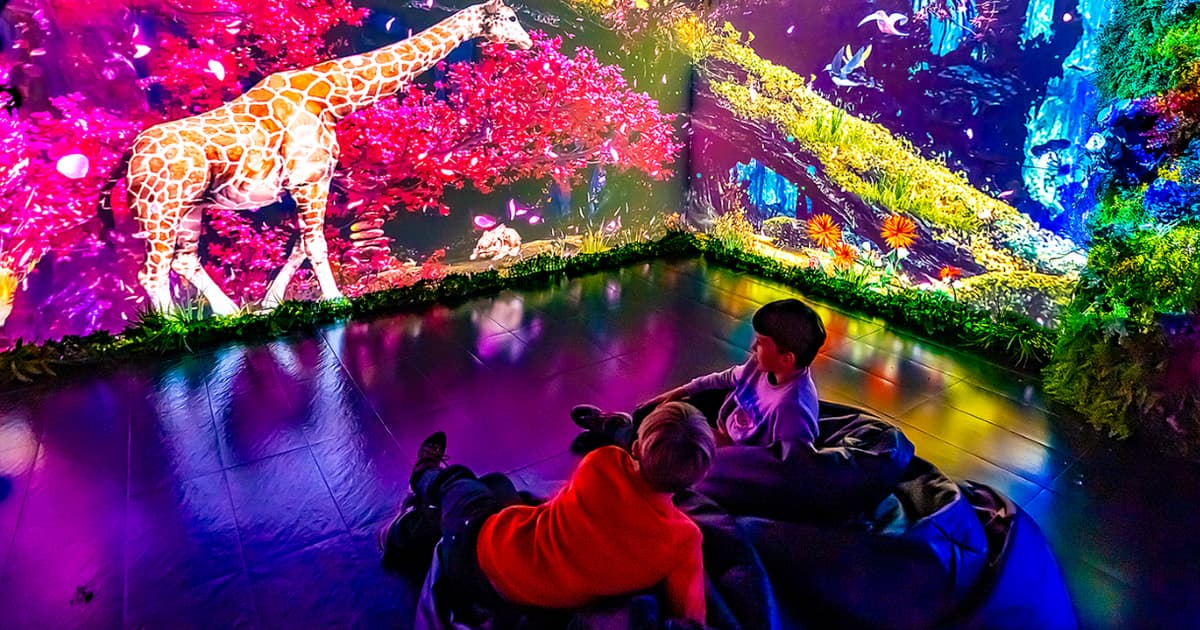 Big Fun Museum Barcelona: una experiencia interactiva y divertida