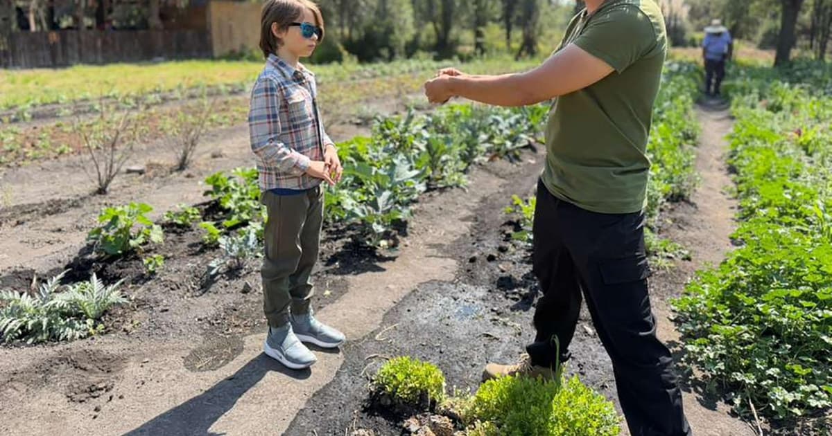 Xochimilco: canales, ajolotes y tour por el mercado