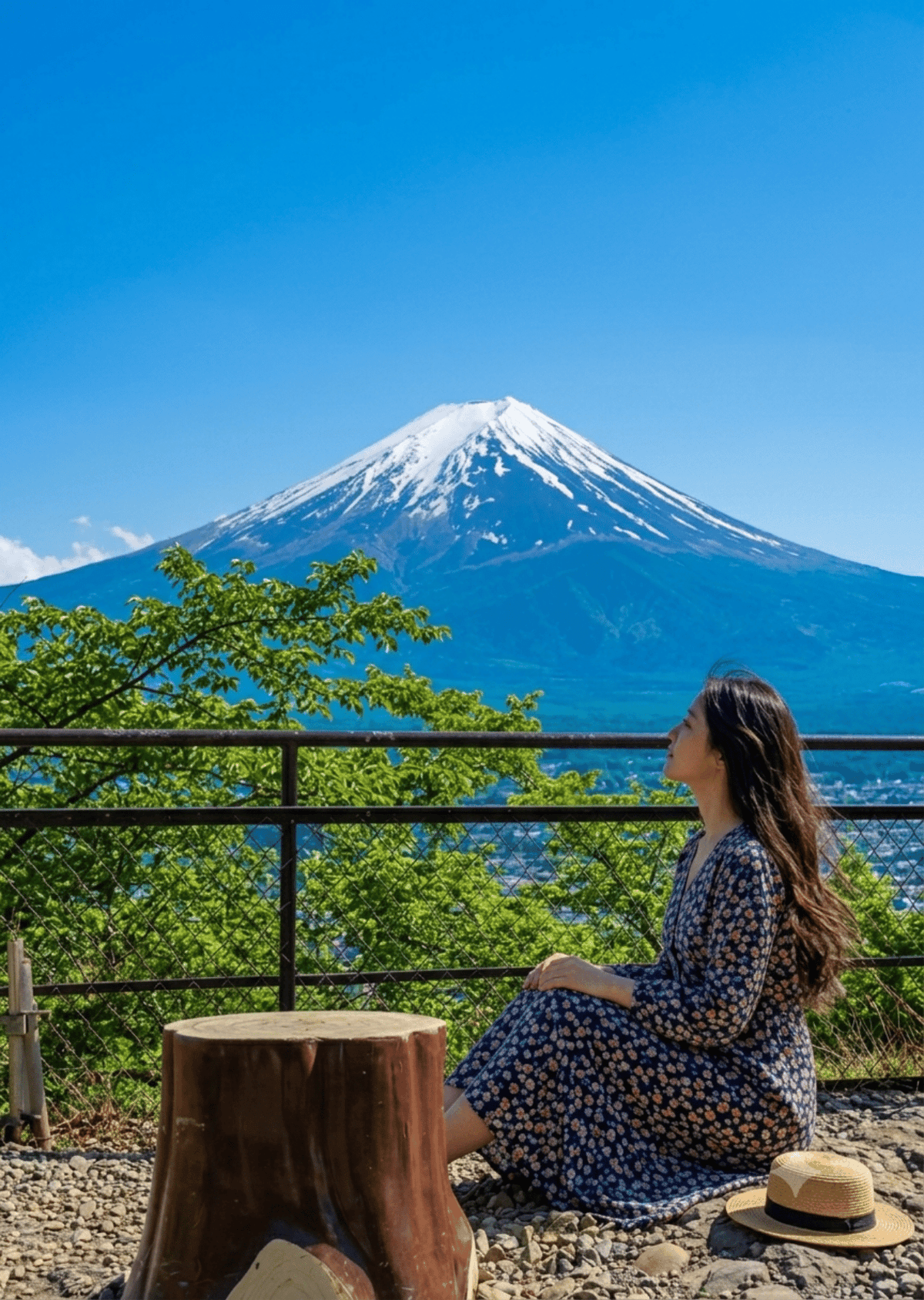 Mount Fuji: Day Tour Featuring Lake Kawaguchi Cruise Tour