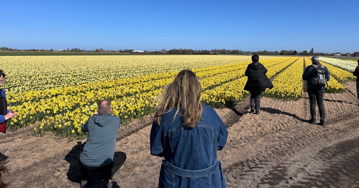 From Amsterdam: The Early Flower Tour, full day with Lunch