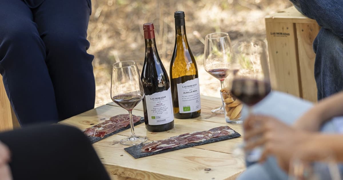Madrid: visita a la bodega Las Moradas de San Martín y cata
