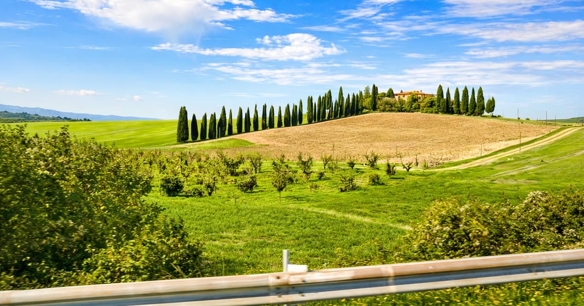 Desde Siena: tour vinícola por el Val d’Orcia con almuerzo y Brunello