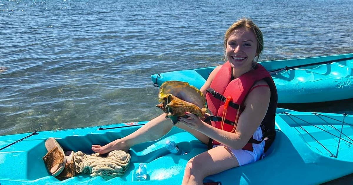 Paddle Out, Sandbar and Snorkel Adventure in Key Biscayne