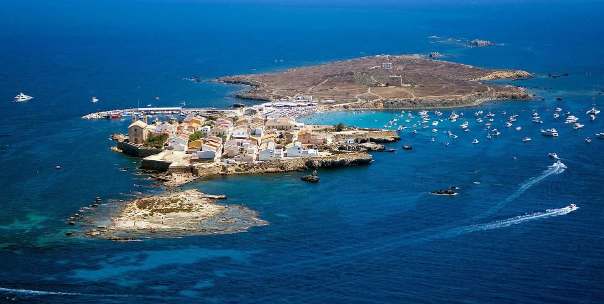 Desde Benidorm: excursión de 1 día a la isla de Tabarca con paseo en barco
