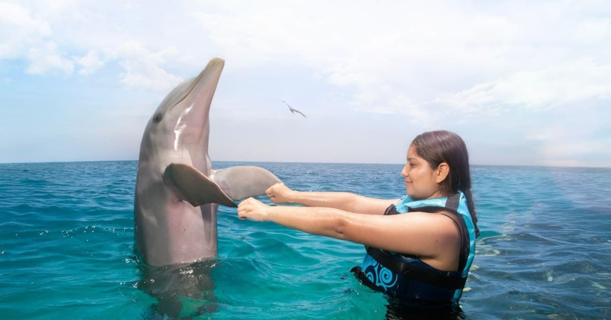 Cancún: entrada al Parque Garrafón y baño con delfines