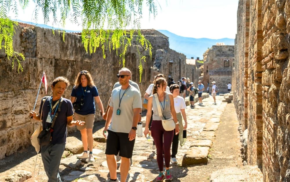 Rome: Pompeii & Mt. Vesuvius Day Trip with Lunch