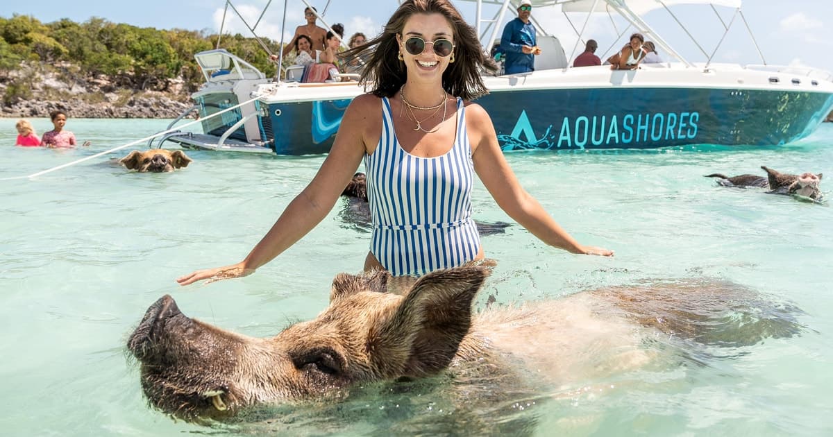 From Nassau: Exuma Powerboat Tour and Pig Beach with Lunch