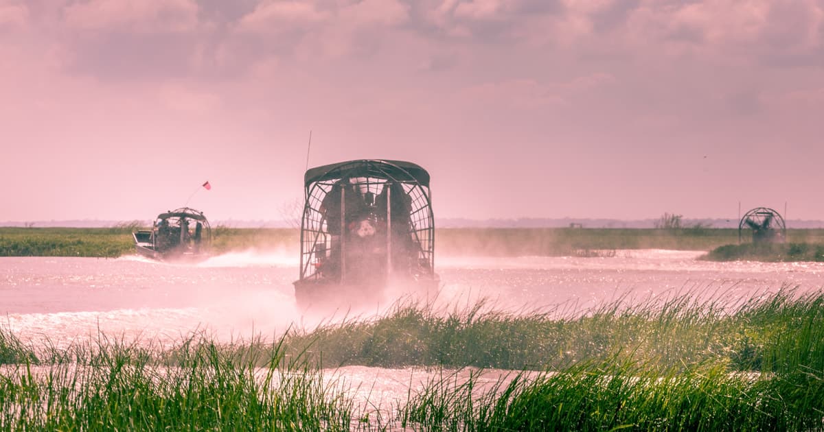 Desde Miami: Everglades en hidrodeslizador, espectáculo de animales y traslado