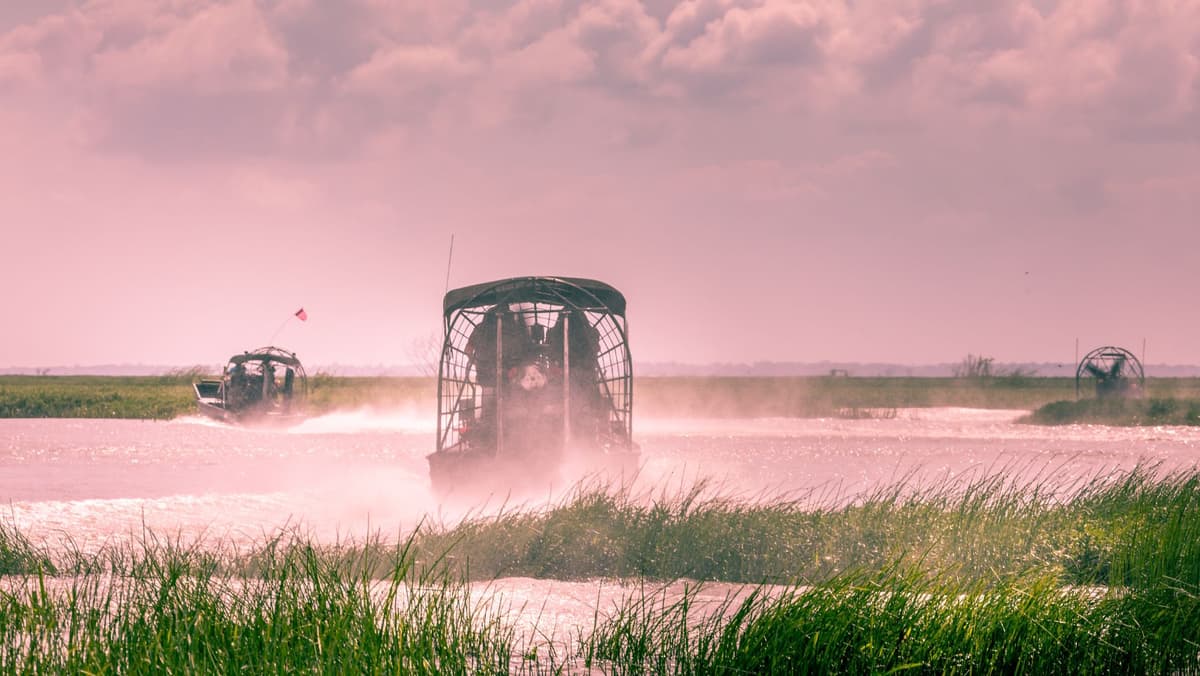 Desde Miami: Everglades en hidrodeslizador, espectáculo de animales y traslado