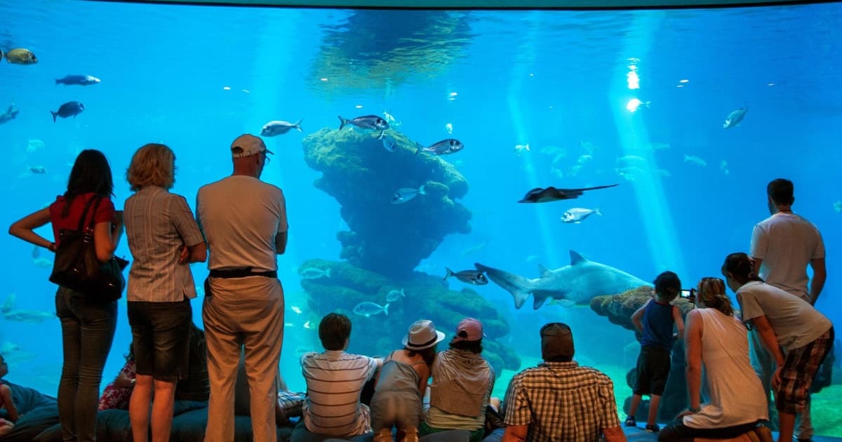 Mallorca: Palma Aquarium con traslados, guía y entrada rápida