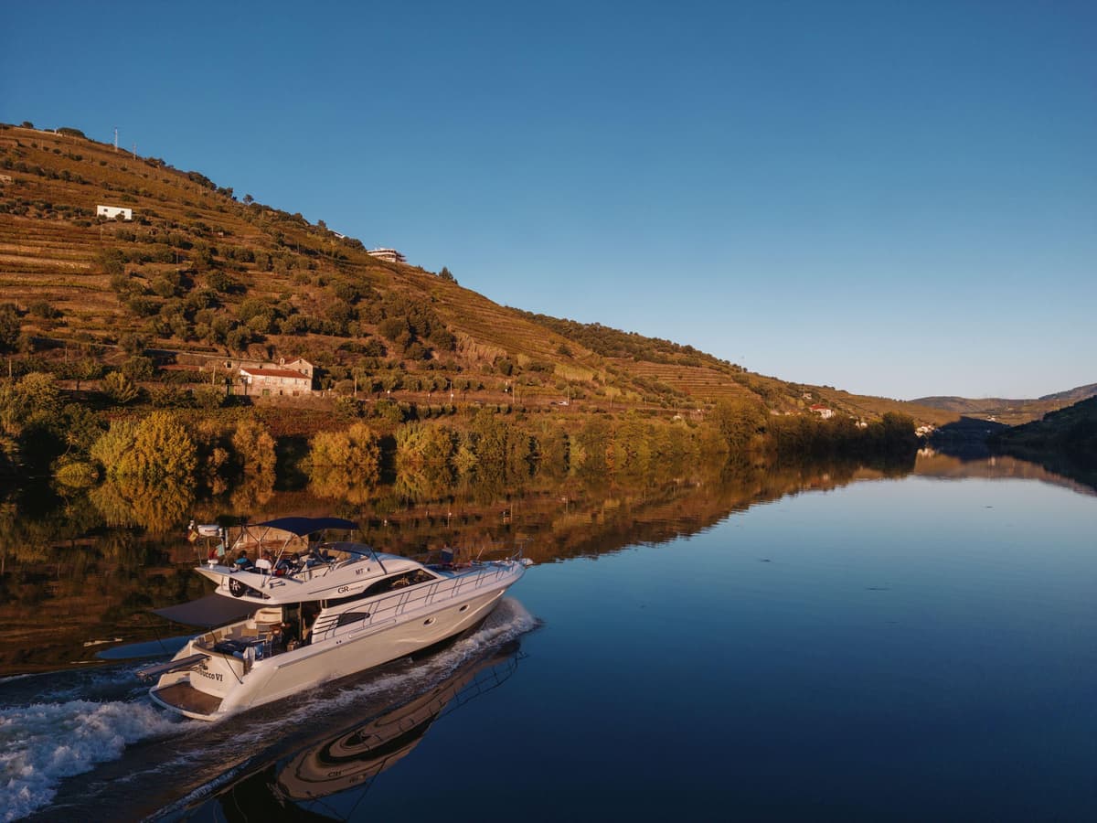 Porto: Full Day Douro River Cruise from Porto to Régua