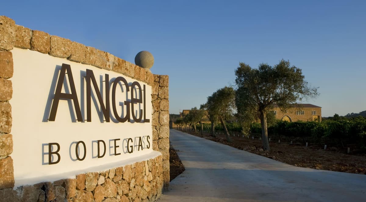 Mallorca: visita a las bodegas Ángel con cata de vino
