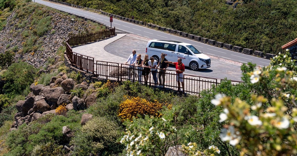 Desde el sur de Tenerife: tour VIP de La Gomera